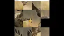 hgmGame-eagle Screenshot 0