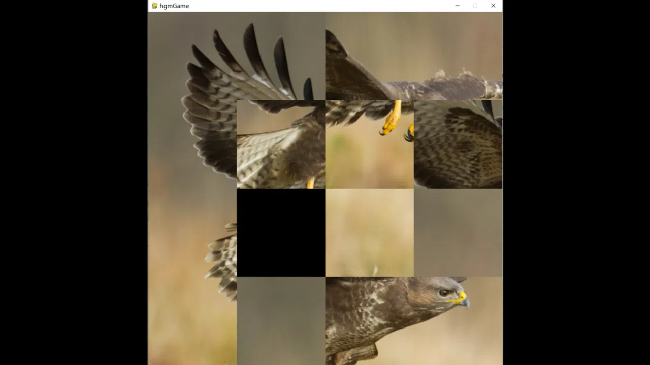 hgmGame-eagle Screenshot 2