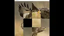 hgmGame-eagle Screenshot 2