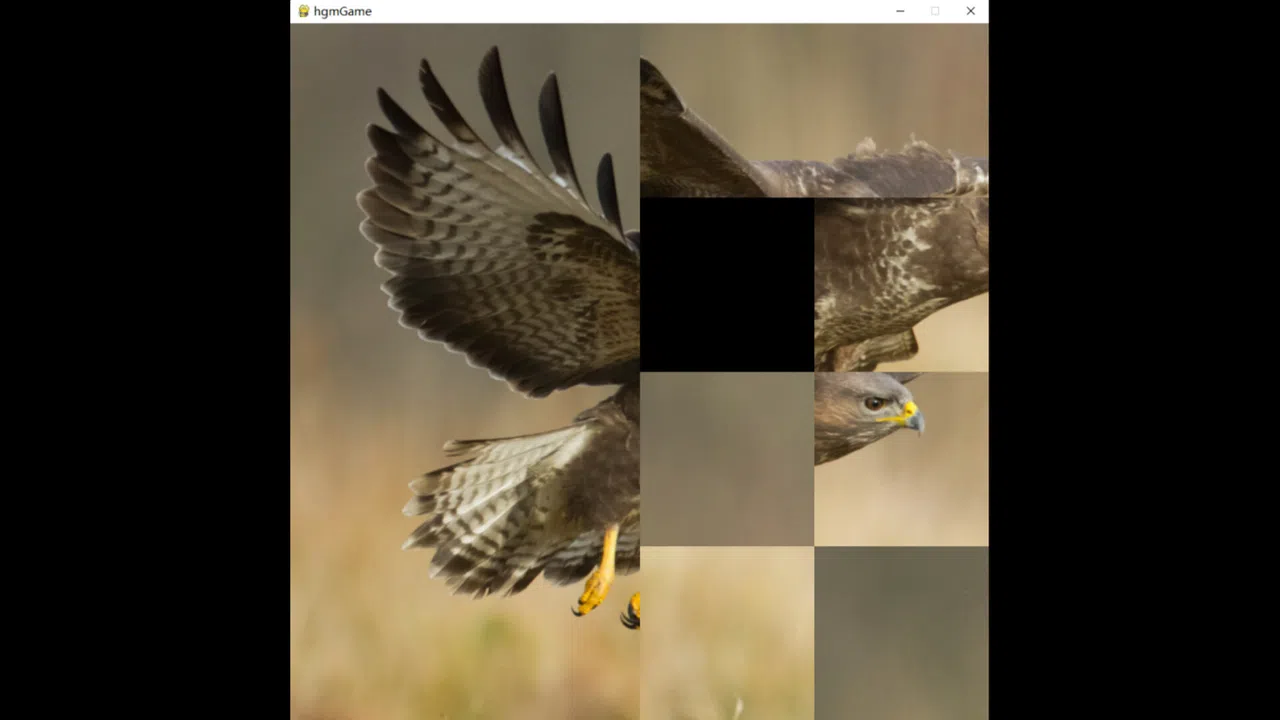 hgmGame-eagle Screenshot 3