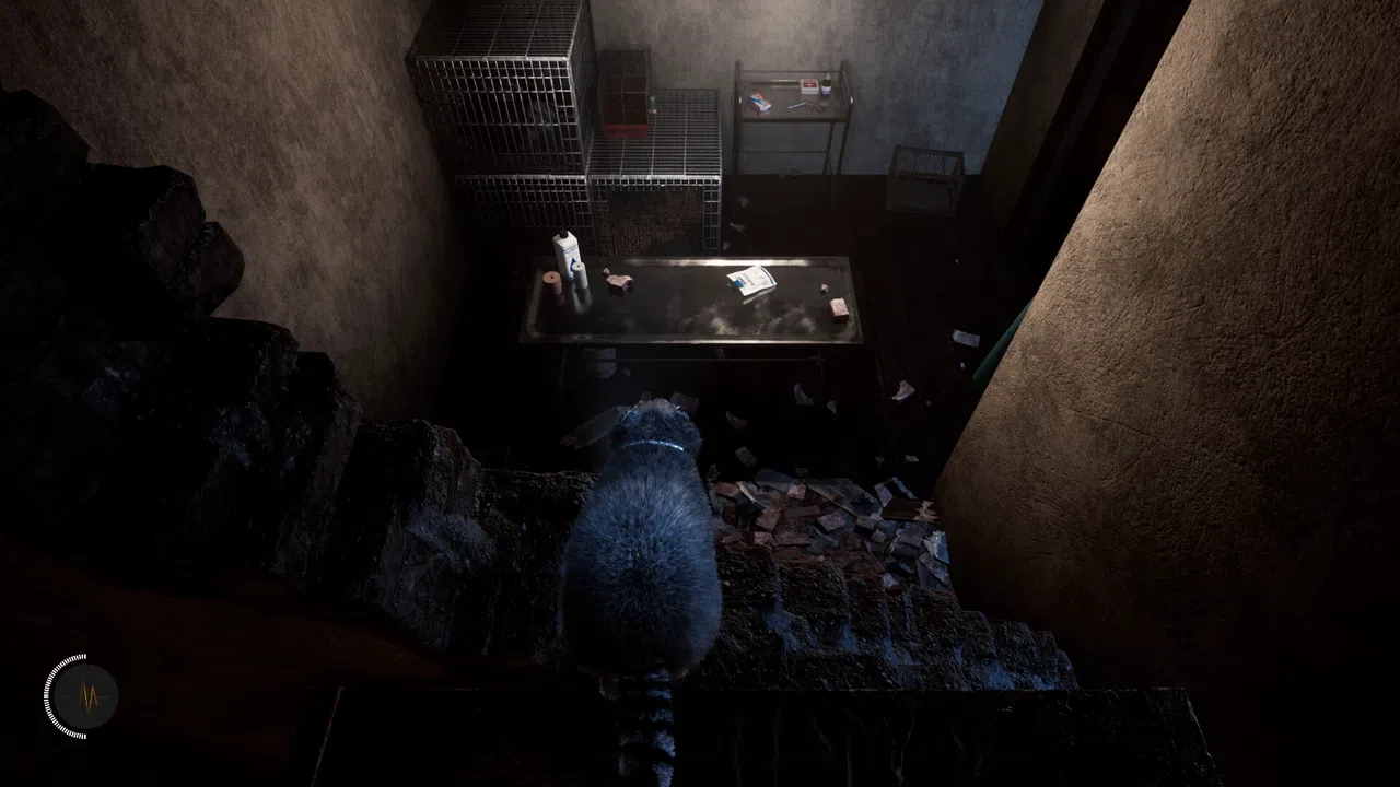 The Last Raccoon Screenshot 5