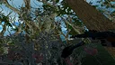 Battle For Abraham VR Screenshot 2