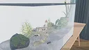 Ant Simulator Screenshot 2