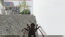 Ant Simulator Screenshot 7