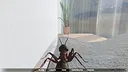 Ant Simulator Screenshot 6