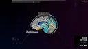 Brainrot Game Screenshot 5
