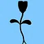 Novice Adventurer icon