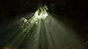 Lie to Loot Screenshot 2