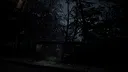 Forest 6174 - Judy Screenshot 1