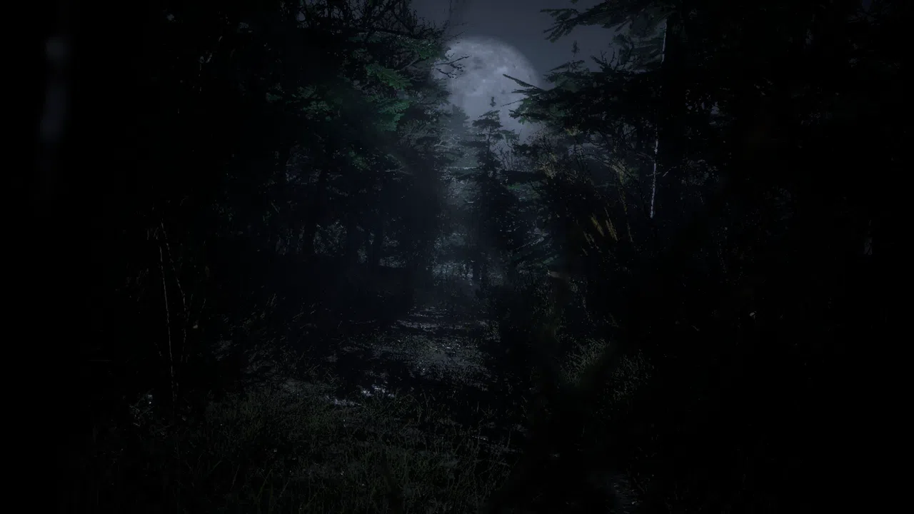 Forest 6174 - Judy Screenshot 0