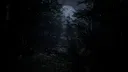 Forest 6174 - Judy Screenshot 0