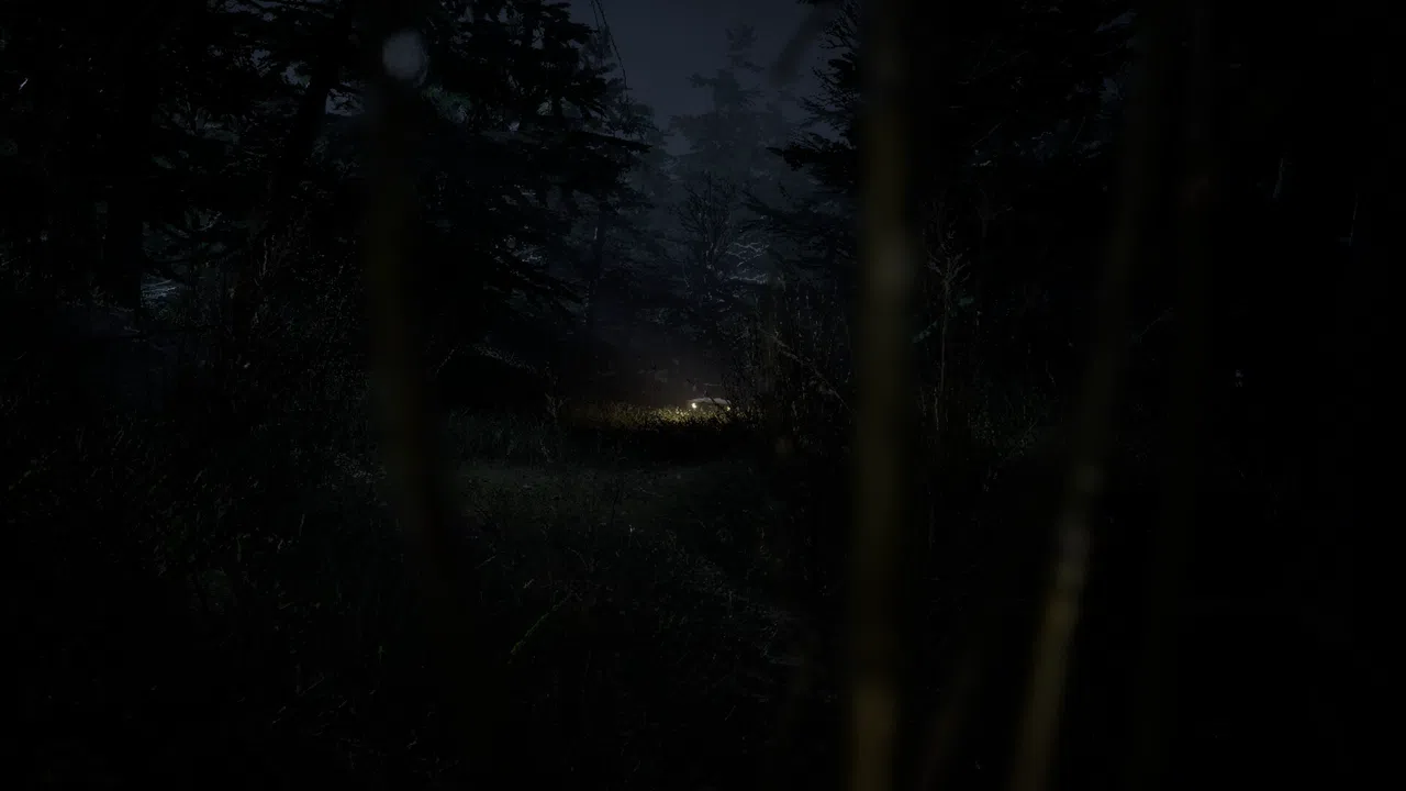Forest 6174 - Judy Screenshot 3