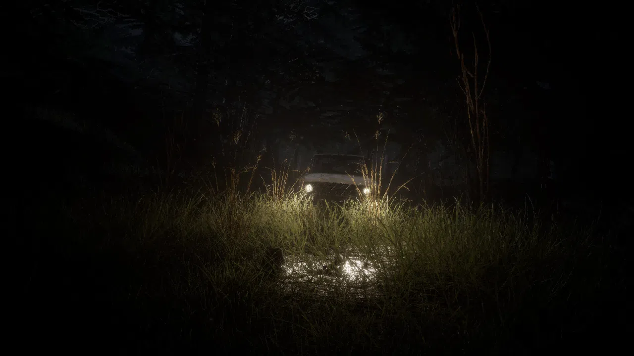Forest 6174 - Judy Screenshot 2