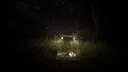 Forest 6174 - Judy Screenshot 2