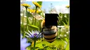 hgmGame-bee Screenshot 2