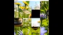 hgmGame-bee Screenshot 4
