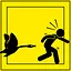 Duck Lover icon