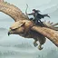 Fly Fast icon