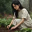 Seeds of Growth icon
