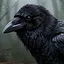 Sharp Eyes icon