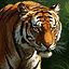Looking For Something icon