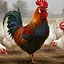 Do Not Chicken Out Now icon