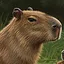 Happy Cappy icon