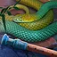 SNAKE WHISPERER icon