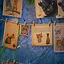 SLUMDOG KITTEN icon