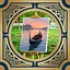MY WORK'LL BE HERE SOMEDAY icon