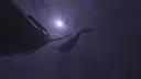 Shoot Your Pal Screenshot 10