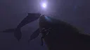 Shoot Your Pal Screenshot 17