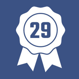 Level 29 icon