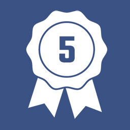 Level 5 icon