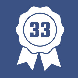 Level 33 icon
