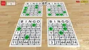 Woohoo! - Game "Bingo Frenzy" Screenshot 5
