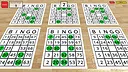 Woohoo! - Game "Bingo Frenzy" Screenshot 1