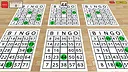 Woohoo! - Game "Bingo Frenzy" Screenshot 2