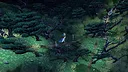 Nightpyre Screenshot 2
