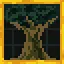 Fresh Air icon
