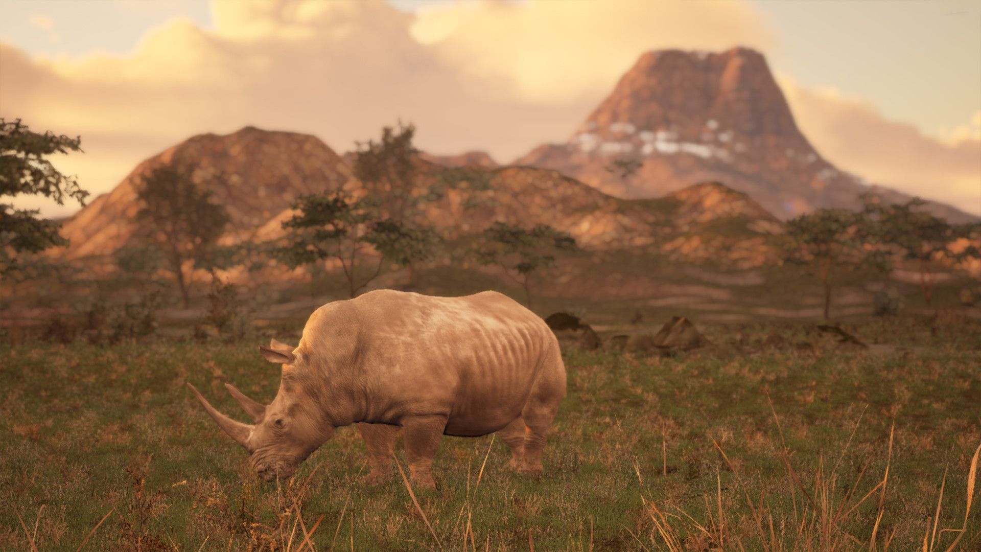 Animalia Survival Screenshot 0