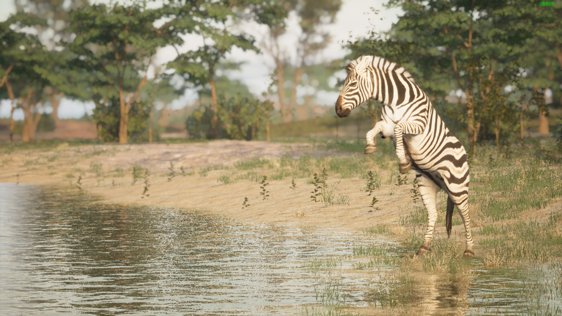 Animalia Survival Screenshot 2