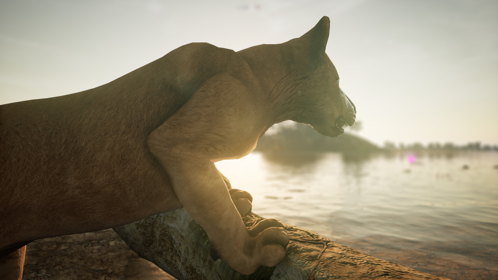Animalia Survival Screenshot 6