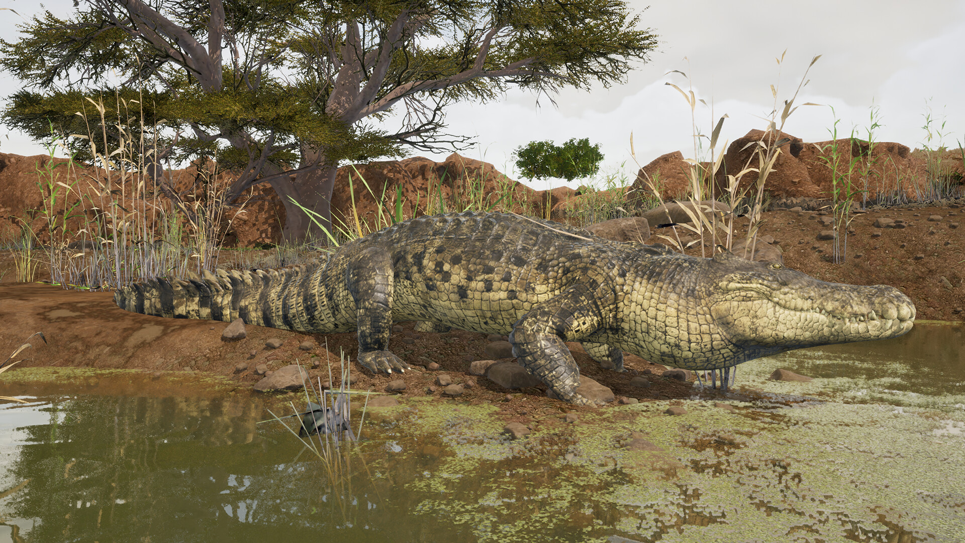 Animalia Survival Screenshot 12
