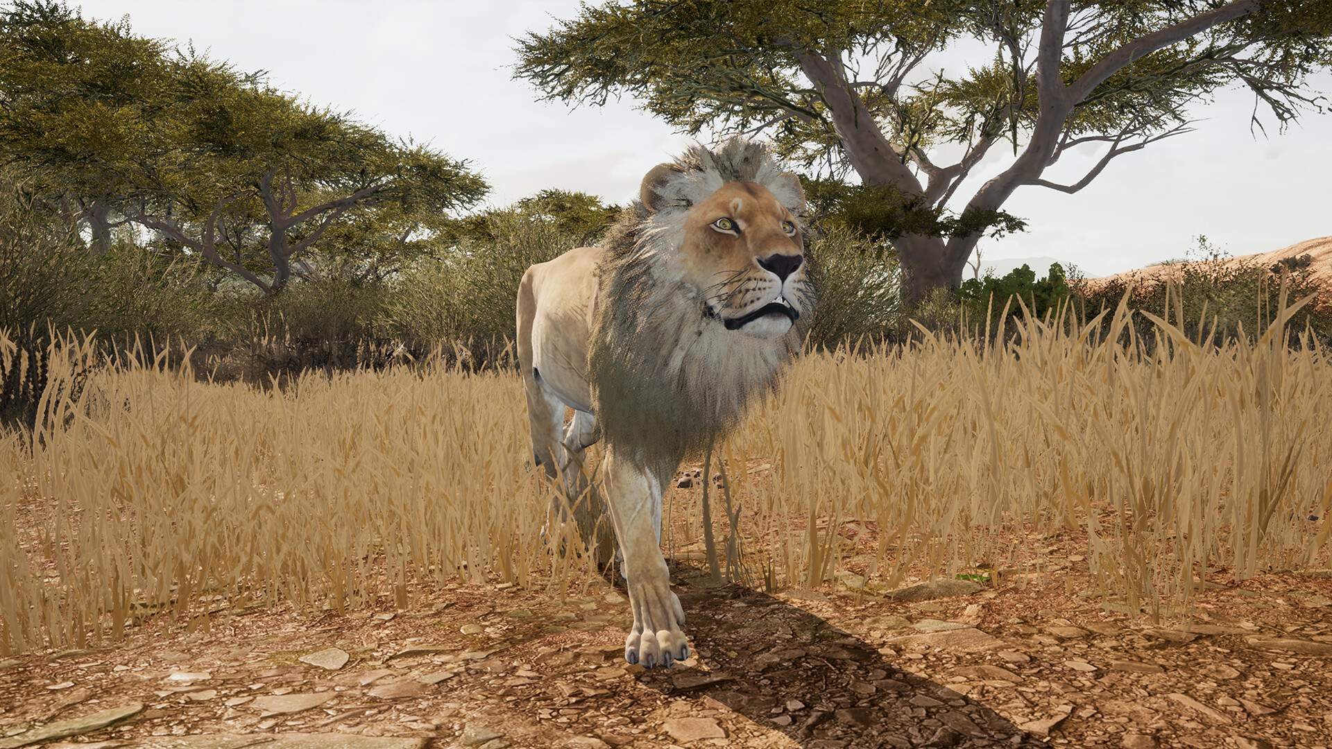 Animalia Survival Screenshot 13