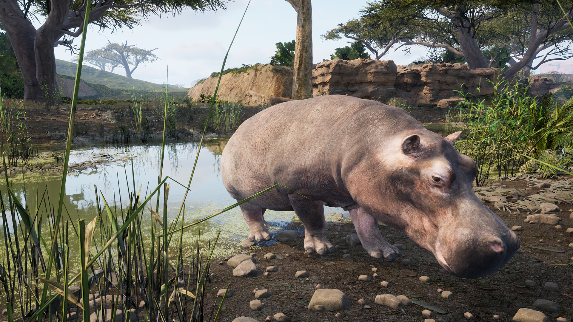 Animalia Survival Screenshot 11