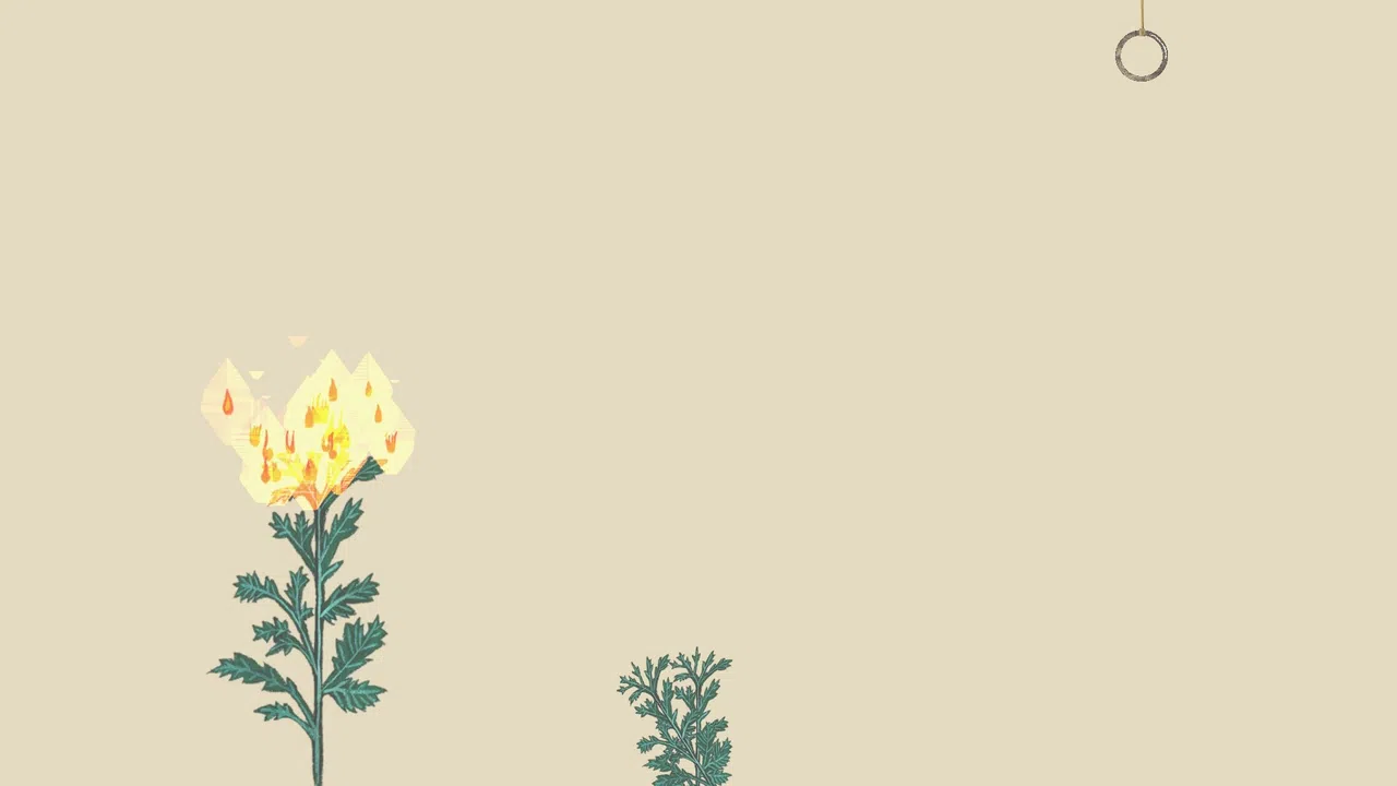 Wrist Catcher-寸关 Screenshot 3