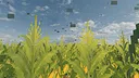 The Field Between Screenshot 3
