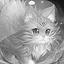 Level 24 icon