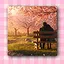 New Beginning icon